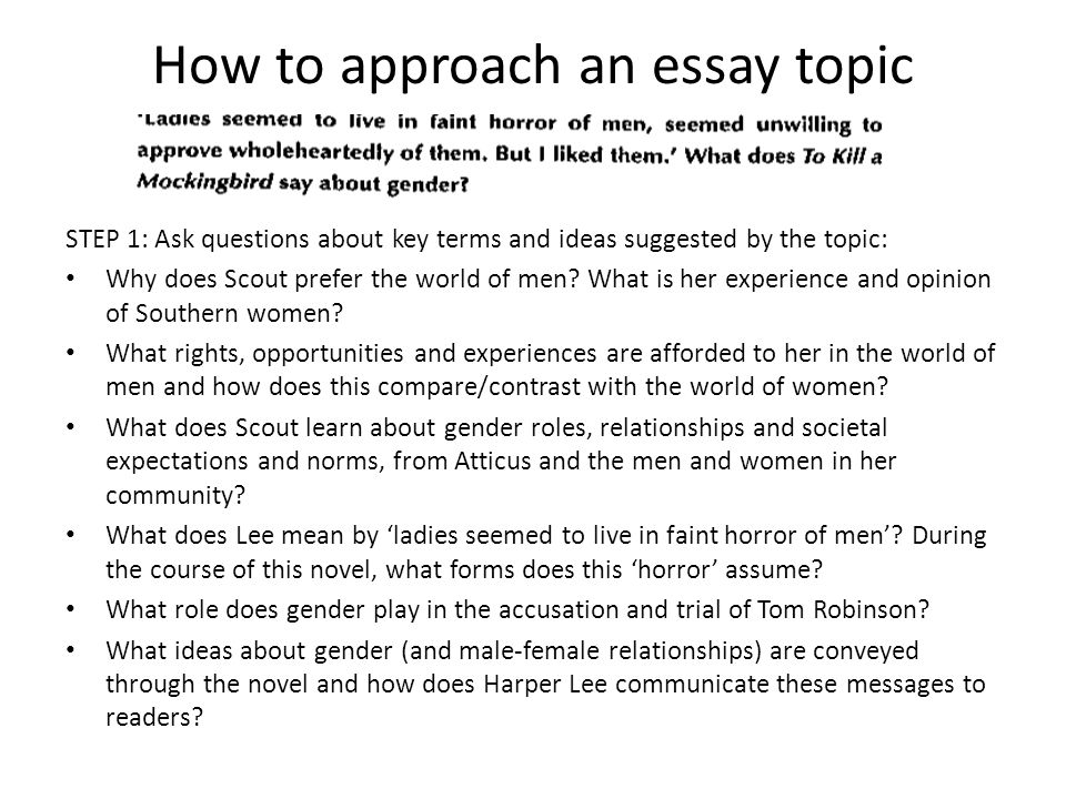 To kill a mockingbird essay questions